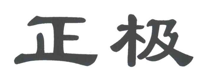 正极