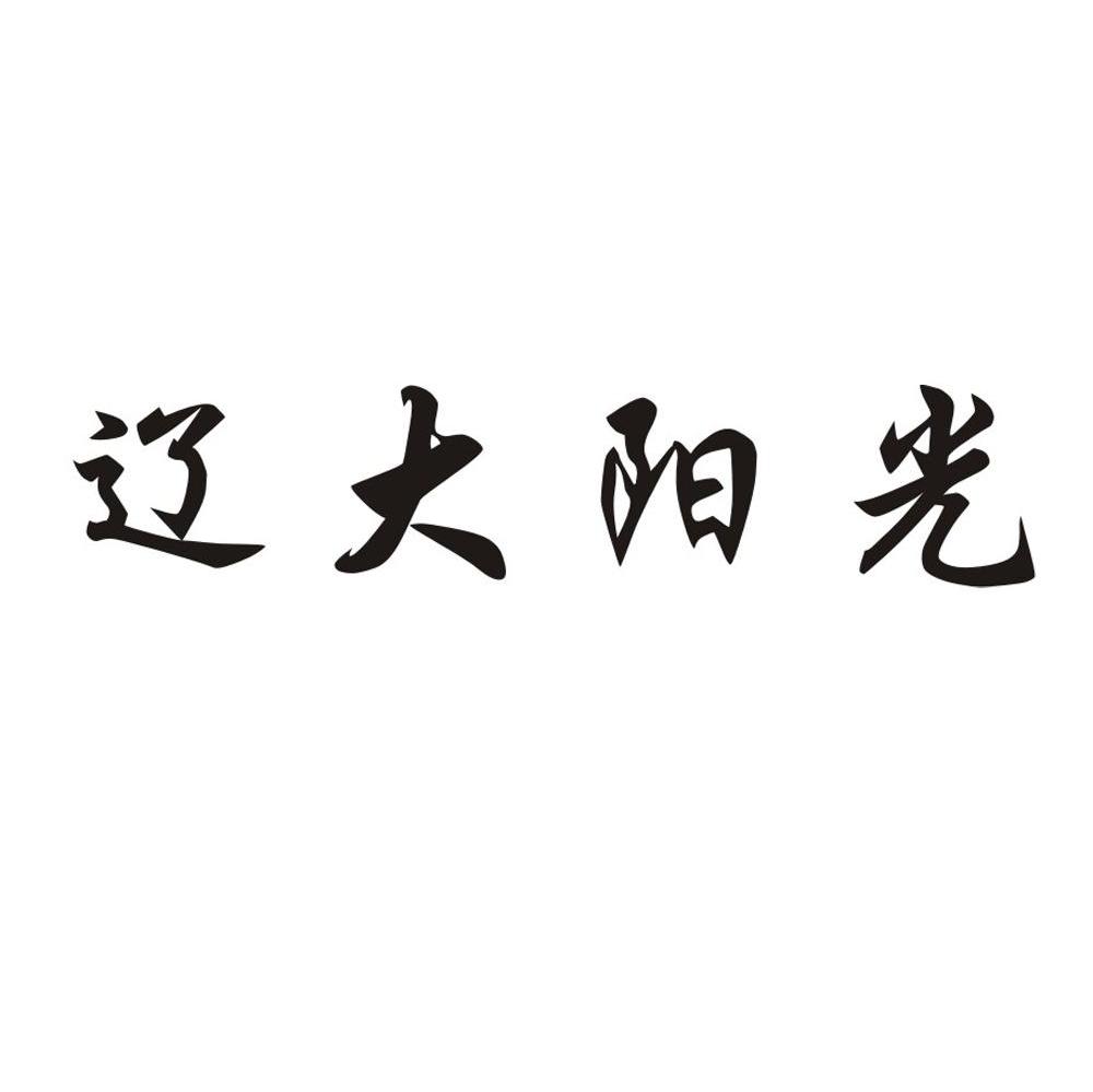 辽大阳光