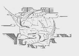 云雁
