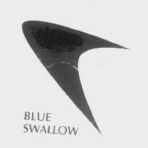 BLUE SWALLOW