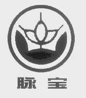 脉宝