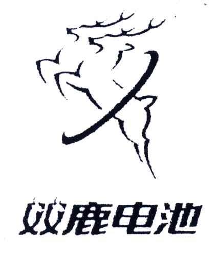 双鹿电池