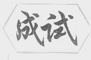 成试