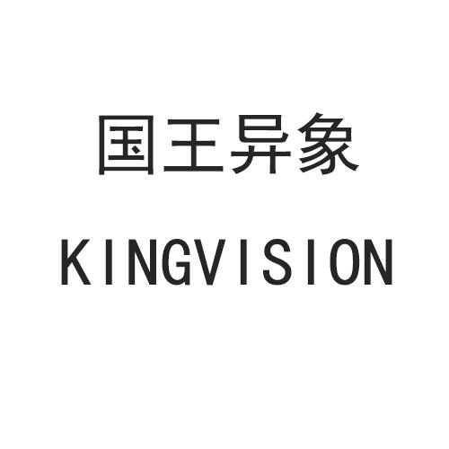 国王异象 KINGVISION