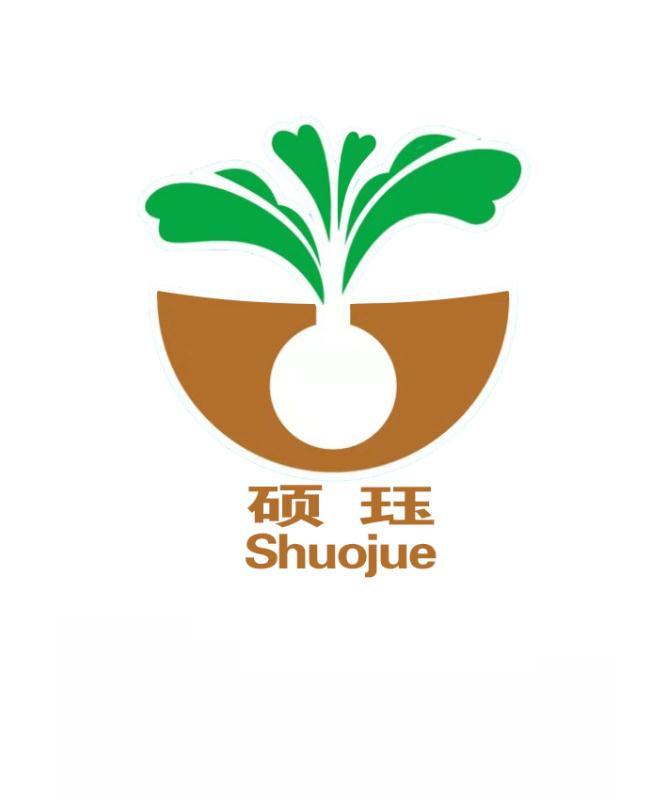 硕珏