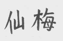 仙梅