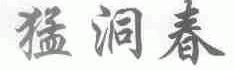 猛洞春