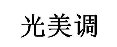 光美调