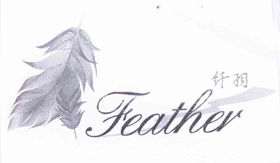 纤羽 FEATHER