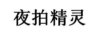 夜拍精灵