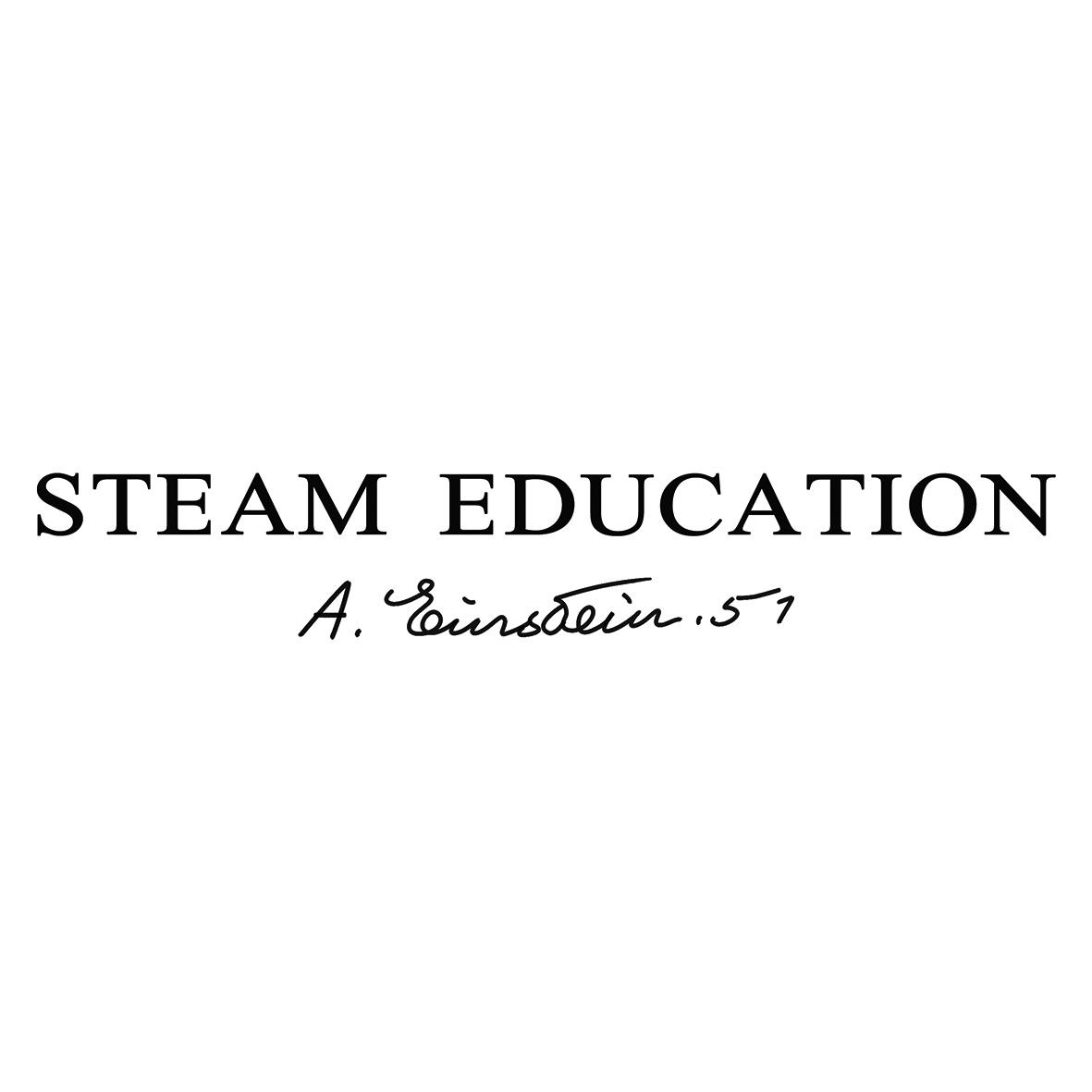 STEAM EDUCATION A. EINSTEIN. 51