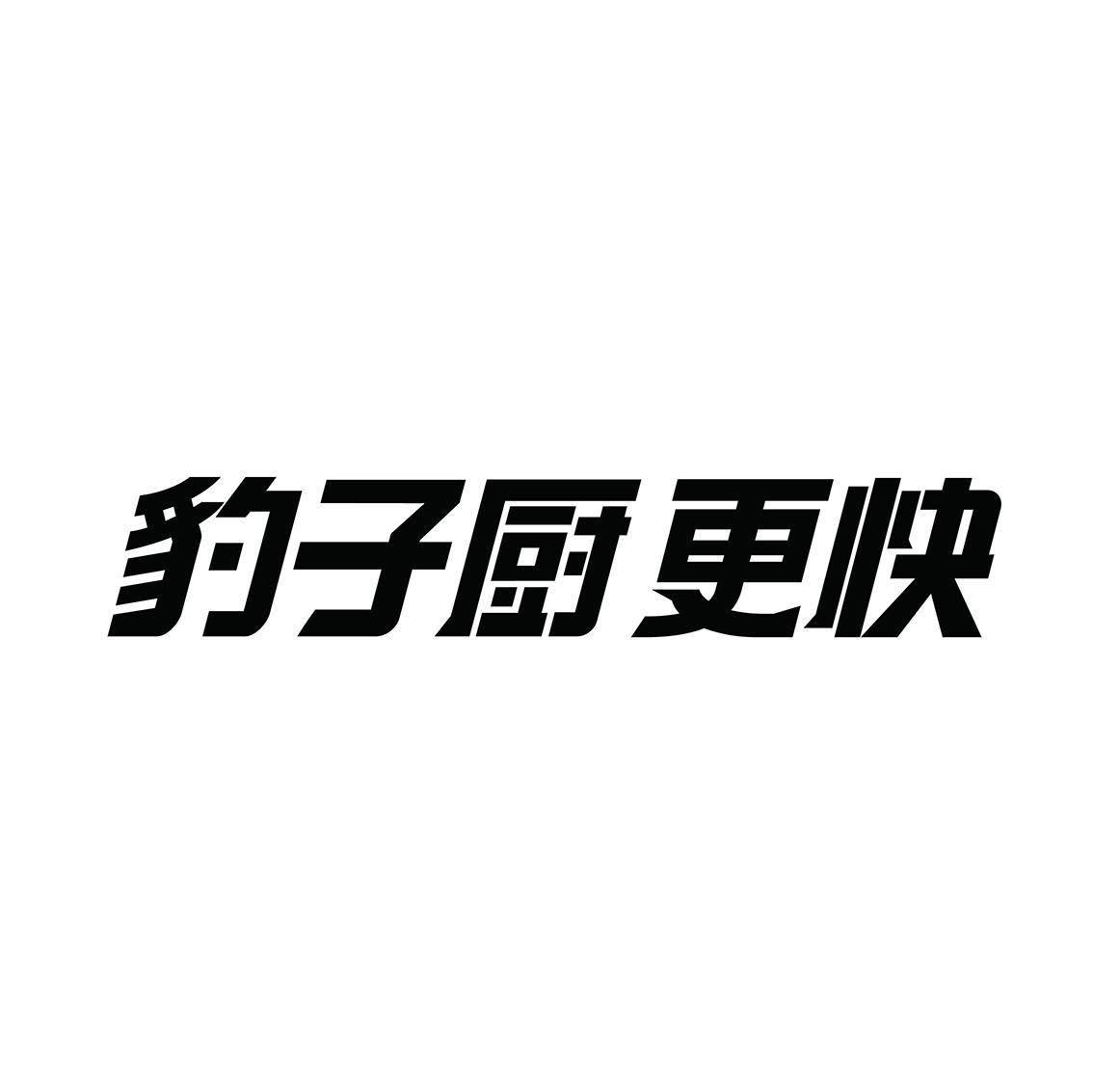 豹子厨更快