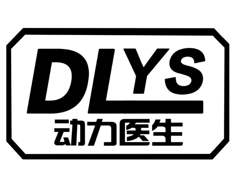 动力医生 DLYS