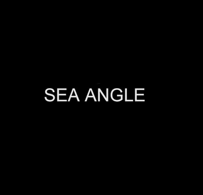 SEA ANGLE