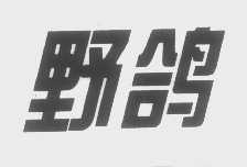 野鸽