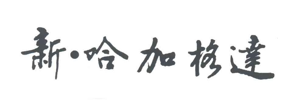 新哈加格达