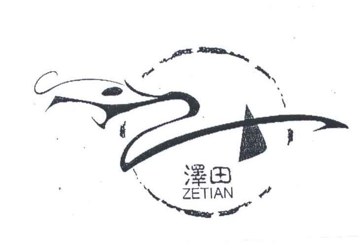 泽田