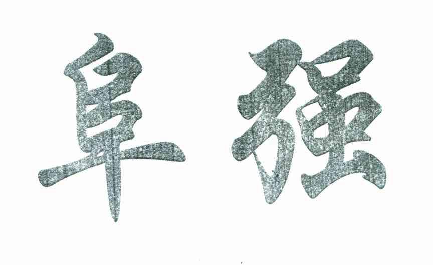 阜强