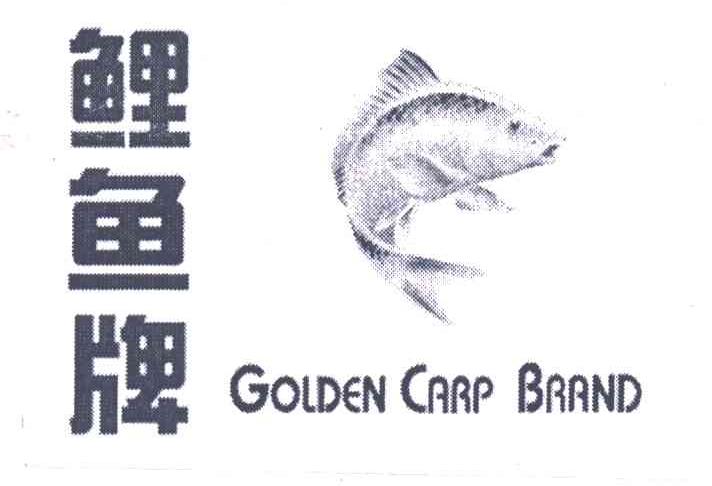 鲤鱼;GOLDEN CARP
