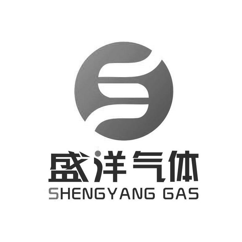 盛洋气体 SHENGYANG GAS