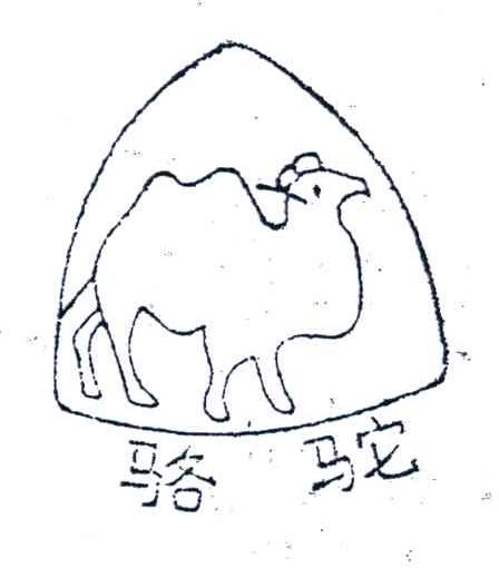 骆驼