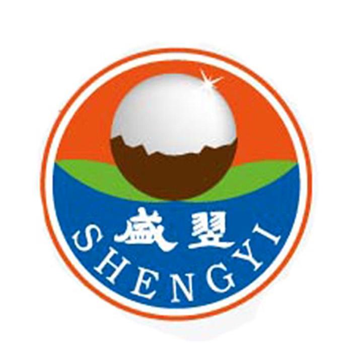 盛翌