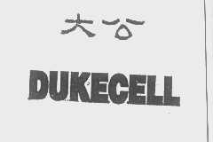 大公   DUKE