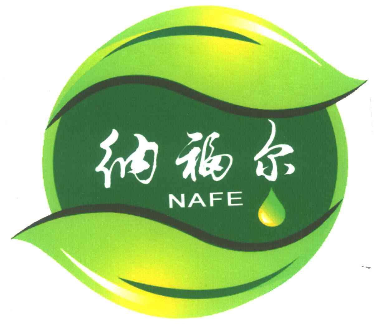 纳福尔;NAFE