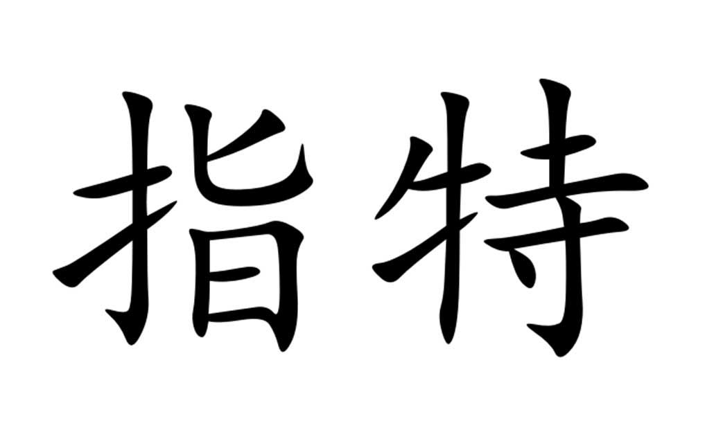 指特