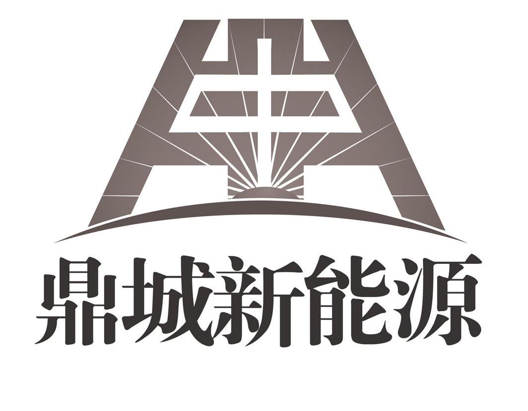 中 鼎城新能源