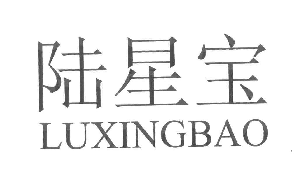 陆星宝