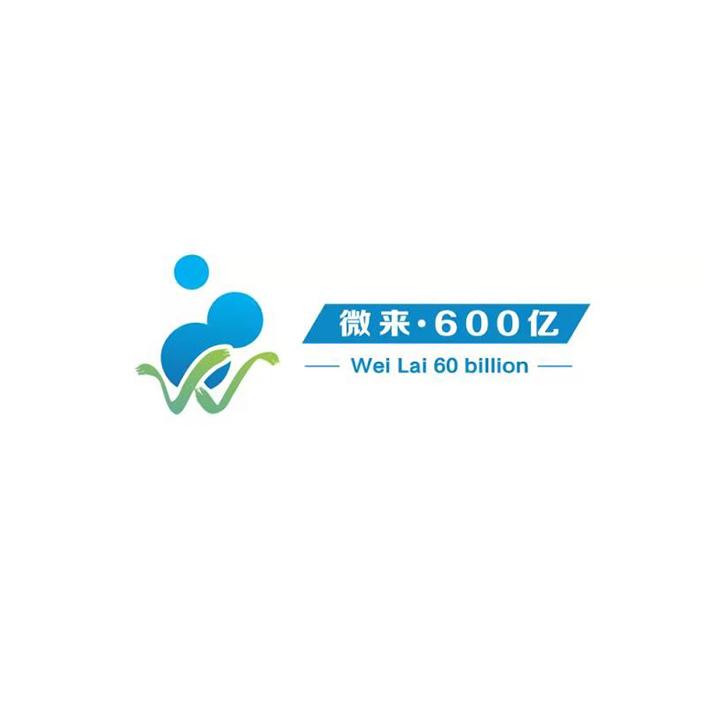 微来&middot;600亿 WEI LAI 60 BILLION
