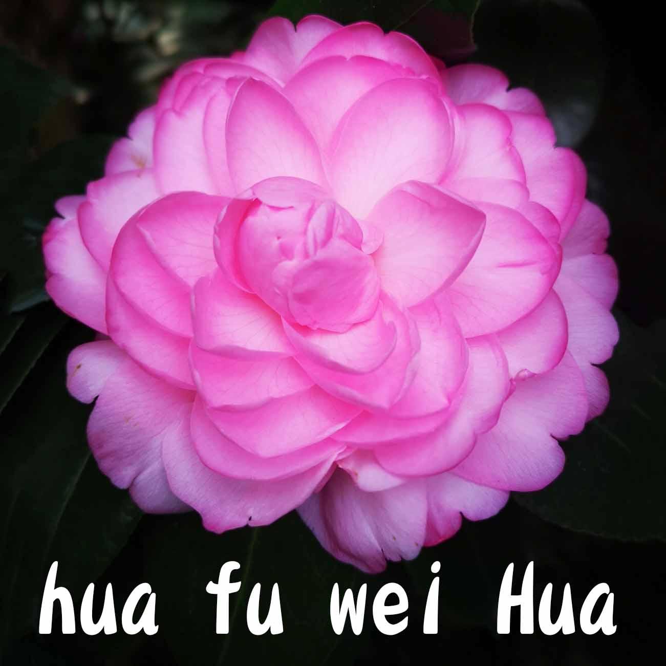 HUA FU WEI HUA