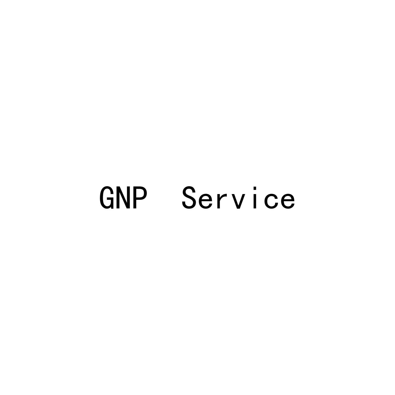 GNP SERVICE