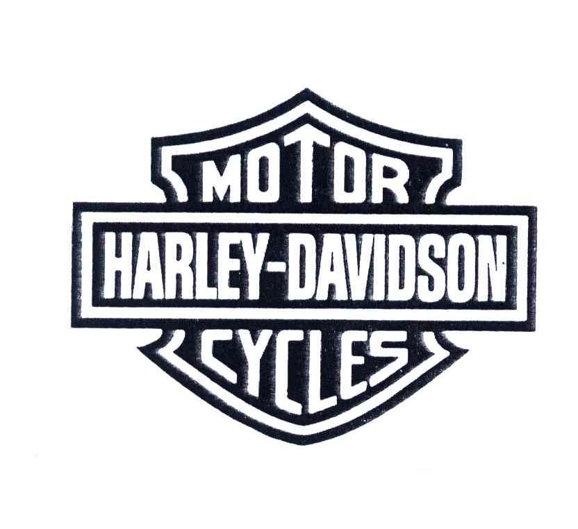 MOTOR HARLEY DAVIDSON CYCLES