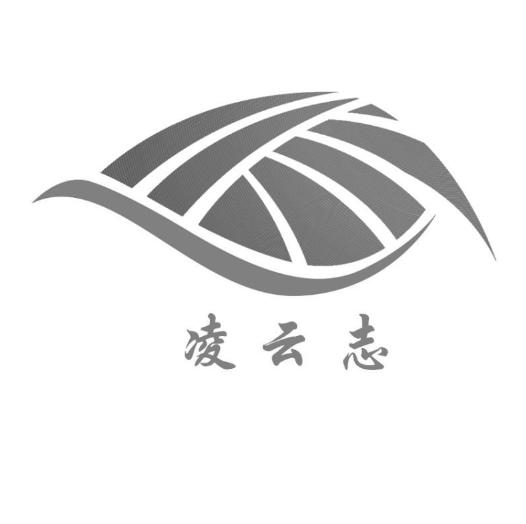 凌云志