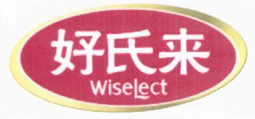 好氏来 WISELECT