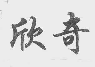 欣奇