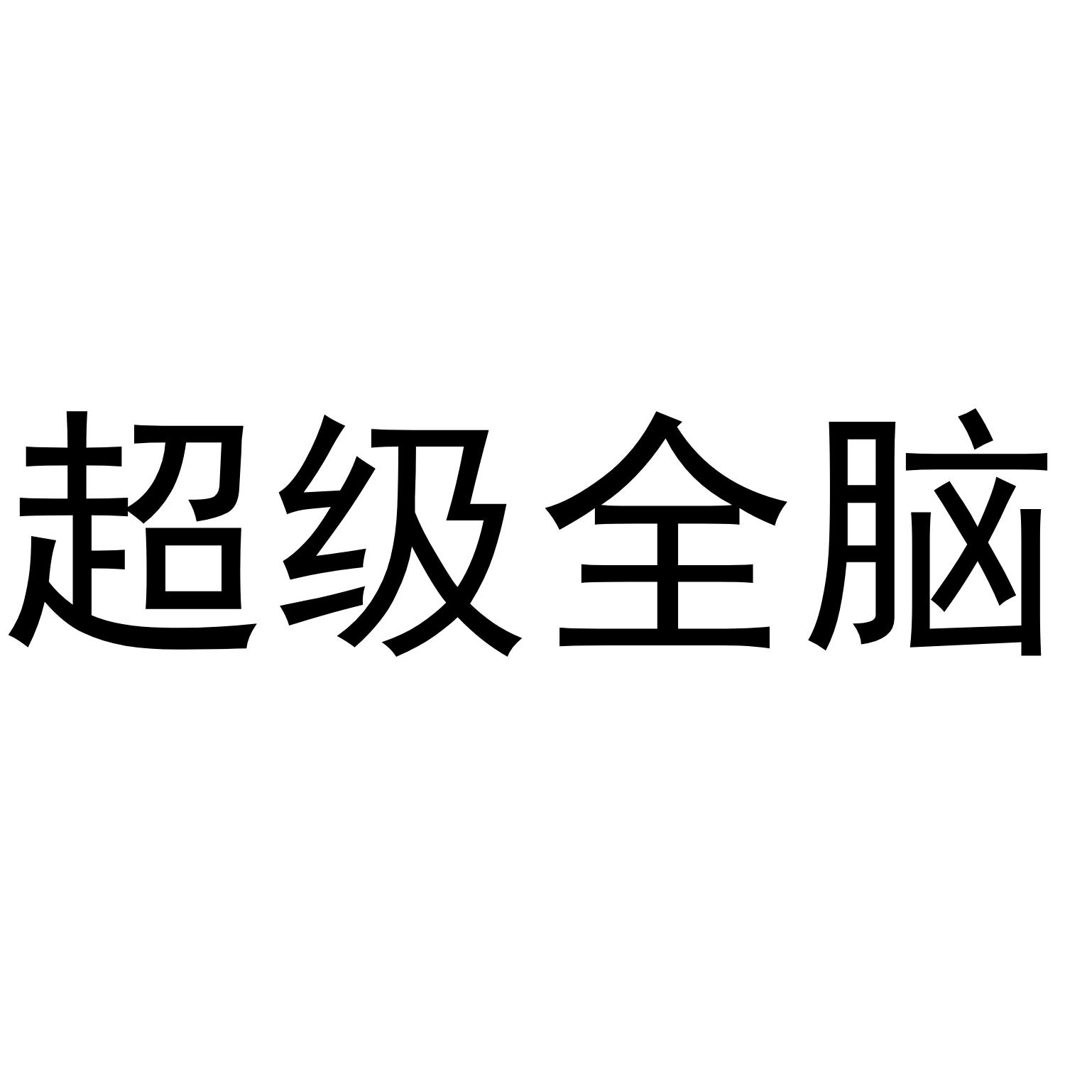 超级全脑