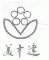 美中达