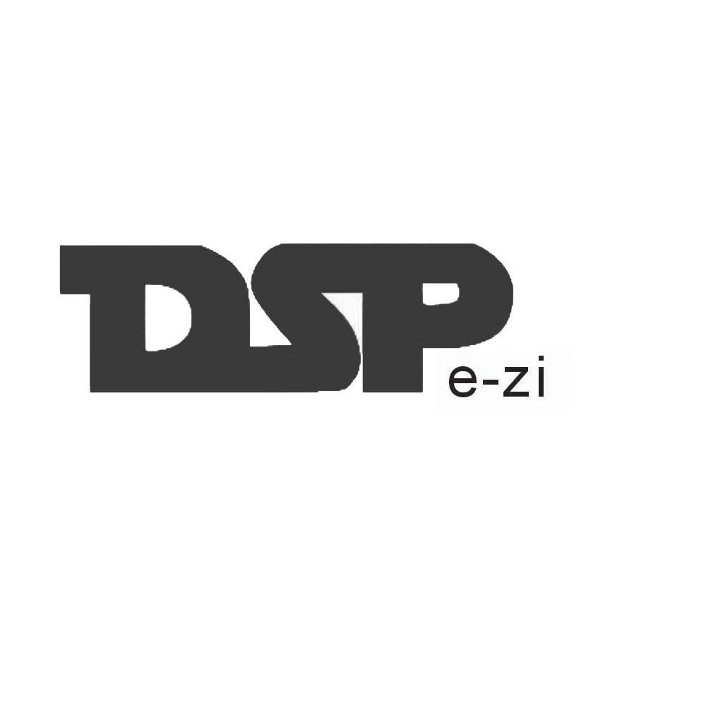 DSPE-ZI