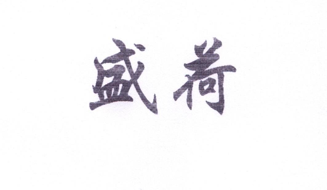 盛荷