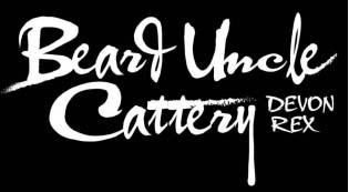 BEARD UNCLE CATTERY DEVON REX