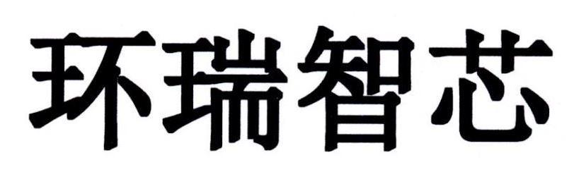 环瑞智芯
