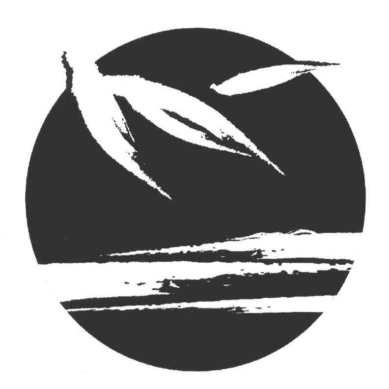 图形