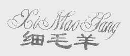 细毛羊