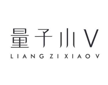 量子小V LIANG ZI XIAO V