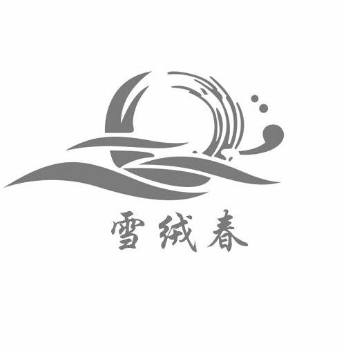 雪绒春
