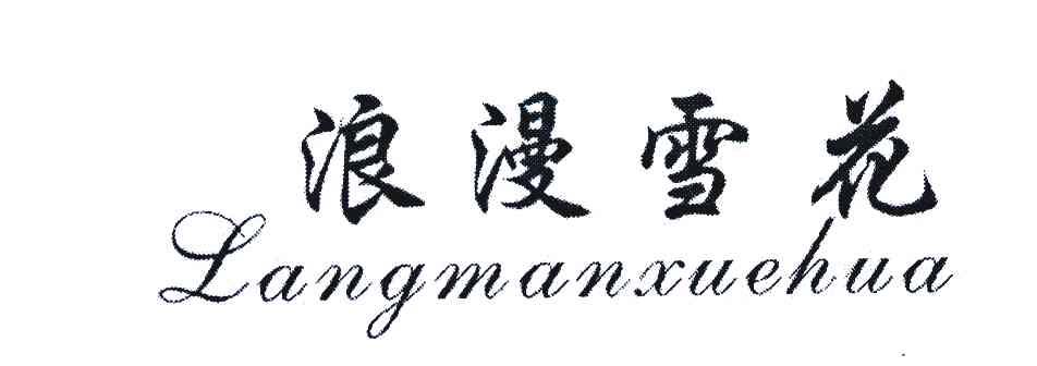 浪漫雪花