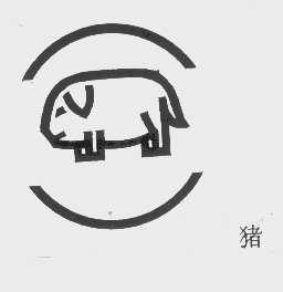 猪